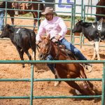 Rondonópolis recebe a 1ª Semana do Cavalo com programação gratuita e diversificada de 17 a 20 de setembro